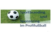 Sportsponsoring u. Sportbranding im Profifußball
