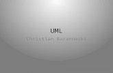 2010 -  Einführung in die UML - Seitenbau Developer Convention