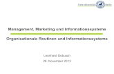 Management, Marketing & Informationssysteme - Organisationale Routinen und Informationssysteme