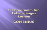 Comenius projekt 2012-13 oda bri