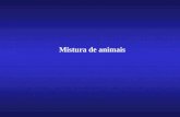 MISTURA DE ANIMAIS