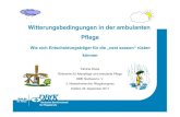 NPK2011: Witterungsbedingungen in der ambulanten Pflege – Wie sich Entscheidungsträger für die „next season“ rüsten können