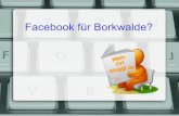 Facebook für Borkwalde