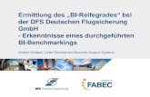Ermittlung des "BI-Reifegrades" bei der DFS Deutsche Flugsicherung GmbH