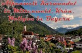 Alpenwelt karwendel in mittenwald, krün, wallgau in bayern