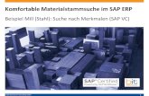B&IT-Kurzfilm: Komfortable Materialstammsuche mit Klassen bzw. Merkmalen - SAP ERP (VC)