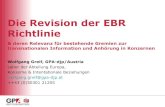 Ebr Revision 2010 De