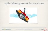 Agile Management Innovations at Tools4AgileTeams 2013