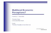 Multilevel Economic Perceptions