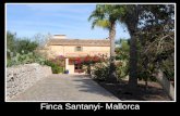 Finca Santanyi - Mallorca