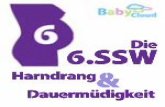 Die 6.ssw (6.Schwangerschaftswoche) und die Entwicklung des Fötus