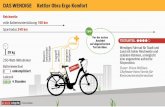 Infografik: Fünf aktuell erhältliche E-Bikes im KURIER Praxis-Test
