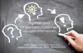 Organisationslernen und Agilität (OOP 2015)