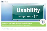 Usability und agile Softwareentwicklung
