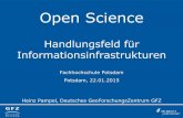 Open Science - Handlungsfeld für Informationsinfrastrukturen