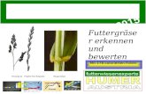 HUMER Gräserführerschein für bessere Futterwiesen 2015 mit 178 Folien