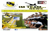 Im Team News 1 - SCL - HolthausenBiene