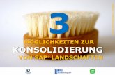 3 Möglichkeiten zur Konsolidierung von SAP Landschaften