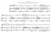 Lieder Eines Fahrenden Gesellen - Mahler