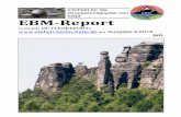 EBM-Report 2-15