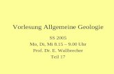 Allgemeine Geologie 19