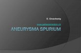 Aneurysma spurium