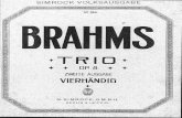 IMSLP168616-PMLP52223-Brahms Op08 Klaviertrio 1 Pi4h New