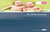 Folder Baby 2012