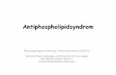 Vorlesung Antiphospholipidsyndrom 11 2010