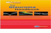 Glaucoma Handbook 09