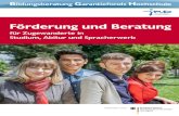 Foerderung und Beratung für Spracherwerb, Abitur und Studium