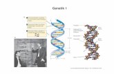 Genetik 1.pdf