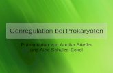 Genregulation bei Prokaryoten-Präsentation von Annika und Alec.ppt