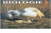 Biologie / Klasse 5 / 1988