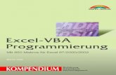 Das Buch - Excel-VBA Mit 850 Makros (CD)