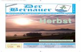Der Bernauer - November 2013