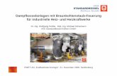 DampfkesselanlagenBraunkohlenstaubFeuerung Heizkraftwerke Industrie 080313082811