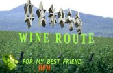Route Du Vin Alsace
