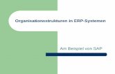 06 ERP Organisationsstrukturen (06/15)