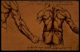 51728113 Leonardo Da Vinci Anatomie