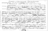 Franz Schreker - 2 Lyrische Gesange