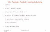 9. Vorlesung WS 2004/05Softwarewerkzeuge1 V9: Protein-Protein-Wechselwirkung - Consurf - Russell & Aloy Server - Webseite mit Proteindomänen - Beispiel.