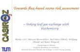 Towards flux-based ozone risk assessment – linking leaf gas exchange with biochemistry Markus Löw 1, Manuela Blumenröther 2, Karl-Heinz Häberle 1, Wolfgang.