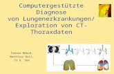 Computergestützte Diagnose von Lungenerkrankungen/ Exploration von CT-Thoraxdaten