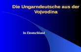 Die Ungarndeutsche aus der Vojvodina