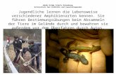 Jakob Grimm Schule Rotenburg  Artenschutz  bei Erdkröte und  Feuersalamander