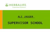 ALI JAGGER  SUPERVISOR SCHOOL