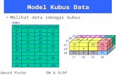 Model Kubus Data