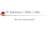 IP Adresse / DNS / URL