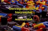 Genregulatorische Netzwerke Andreas Moll